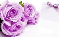 pic for Purple Roses 